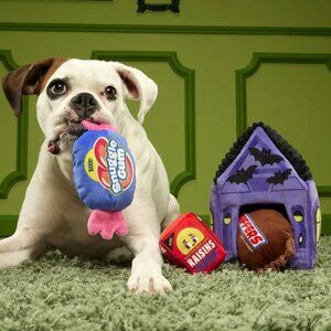 Bark Box Squeak Street Trick-or-Treat Halloween Plush Crinkly Dog Toys - Large